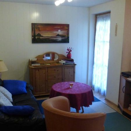 Apartmán Schwarzwaldhaus Elzach Exteriér fotografie