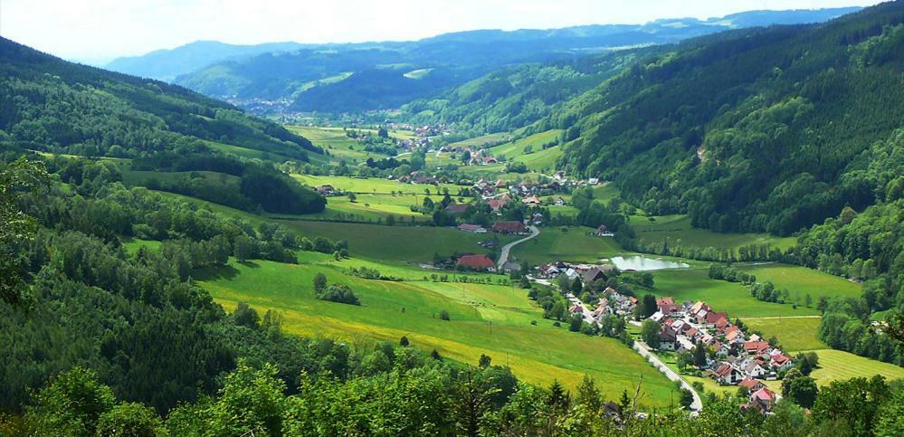 Apartmán Schwarzwaldhaus Elzach Exteriér fotografie